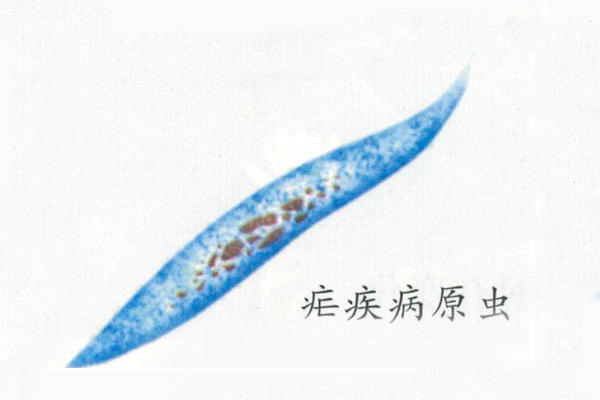 1489546960797263IV2T.jpg 1.jpg