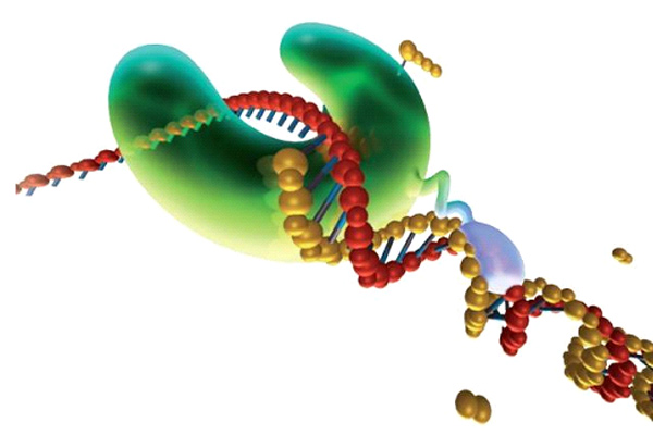 1489547386270770hYlP.jpg 4.jpg