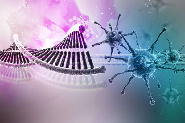 1489631045771549qqyP.jpg 3.jpg