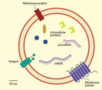 14899914687664268b5i.png 2.png