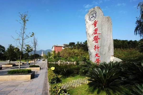 1490077688648443faYU.png 6.png