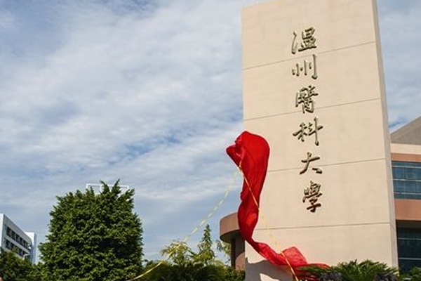 14900777006035556dbv.png 7.png