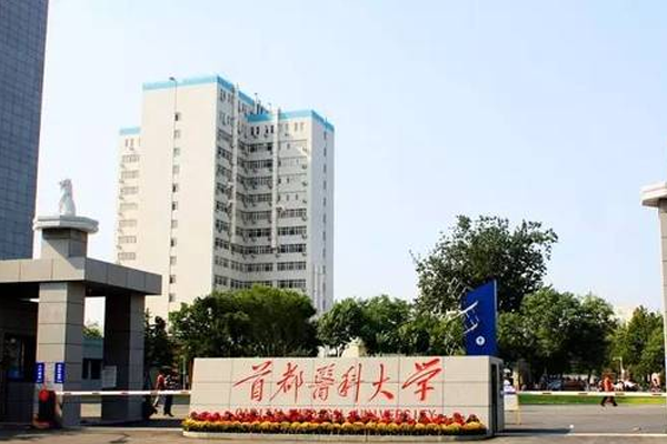 1490077712693048t40g.png 8.png