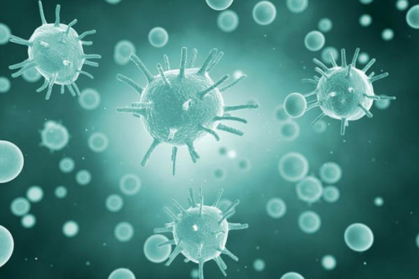 14914469827634517i9U.jpg 3.jpg