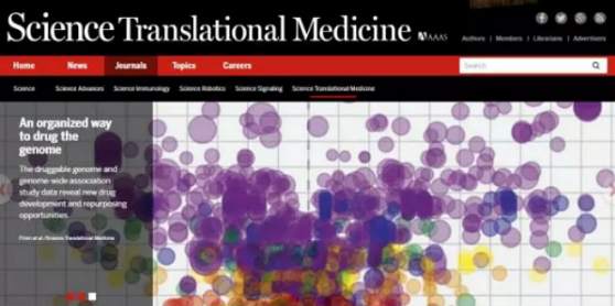 1491531535558277cwhx.jpg 4.jpg