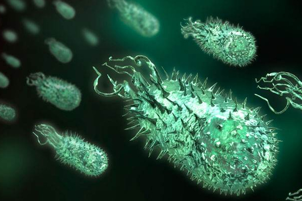 1492408840949753k63j.jpg 4.jpg