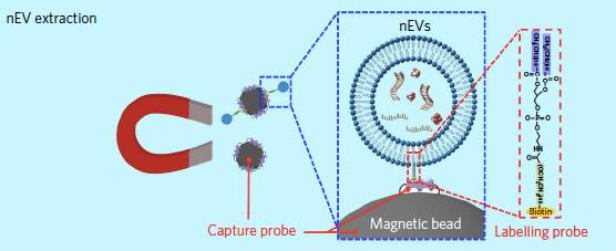 1492580788496421MWVv.jpg 6.jpg