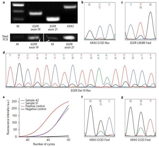 1492580805516527jt1y.jpg 7.jpg