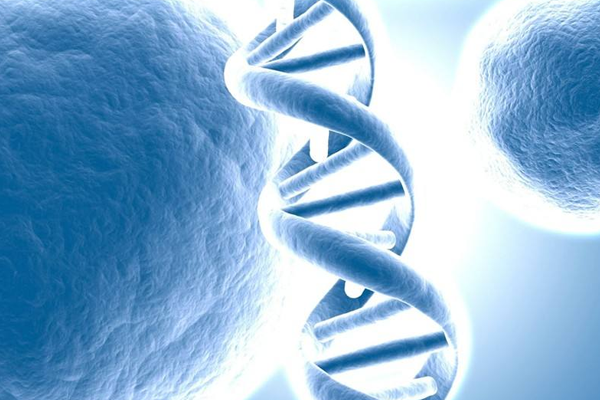 1493172736924661rJ4P.png 4.png