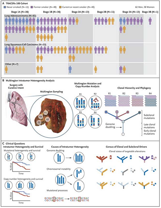 1493691264674571LOjK.png 6.png