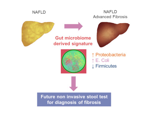 1494212350141761c3nN.jpg 1.jpg