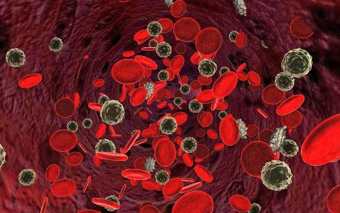 1494300150189835MFAE.jpg 2.jpg