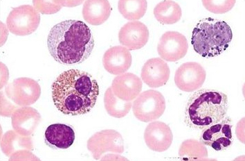 1494468855222376oYA1.jpg 6.jpg