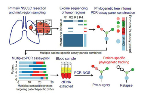 1494989863386887Zkao.jpg 4.jpg