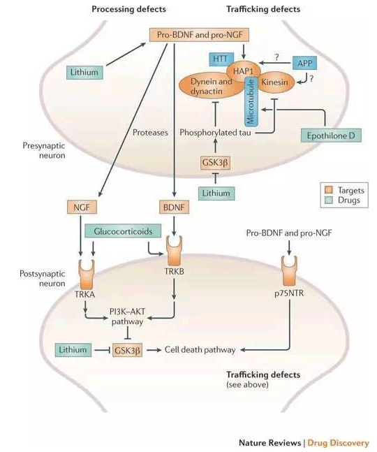 1495161373498136yVgX.png 1.png