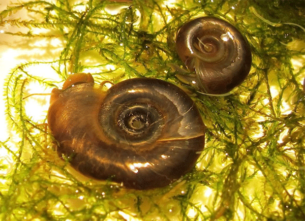 1495591848778784yLOF.png 6.png