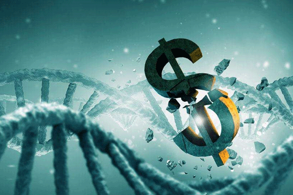 1495592494124922srgv.png 1.png