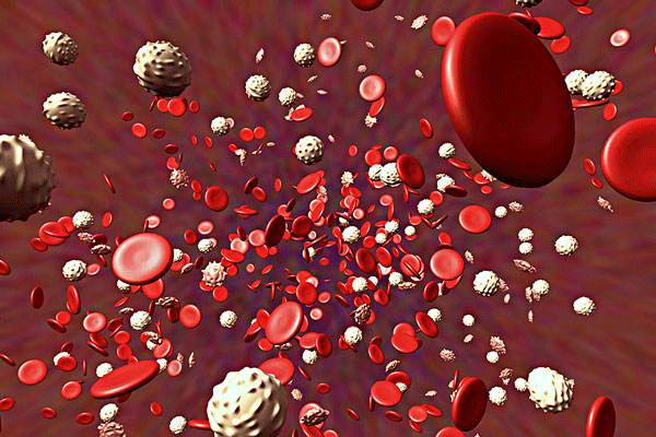 149568262696474822iK.png 2.png