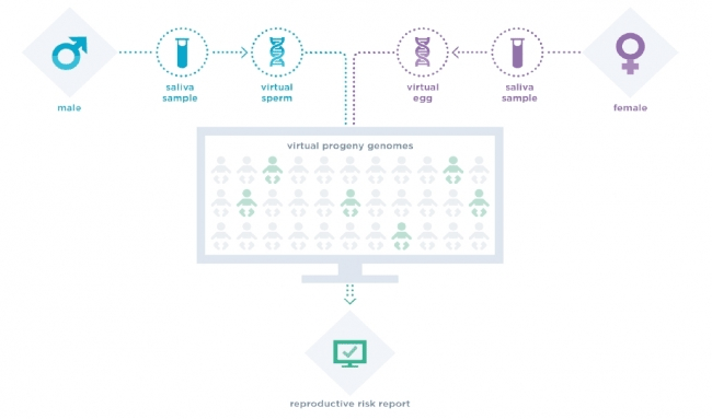 1496298191423174BRv2.png 5.png