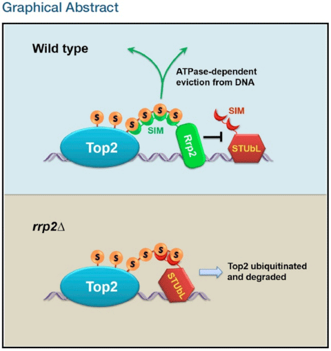 1496630491986521LfSj.png 3.png