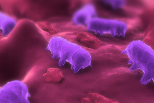 14967253545852547TvU.png 2.png