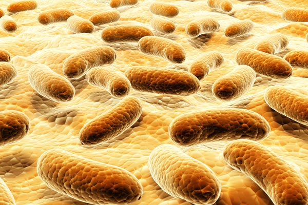 1496974011255101gghU.jpg 1.jpg