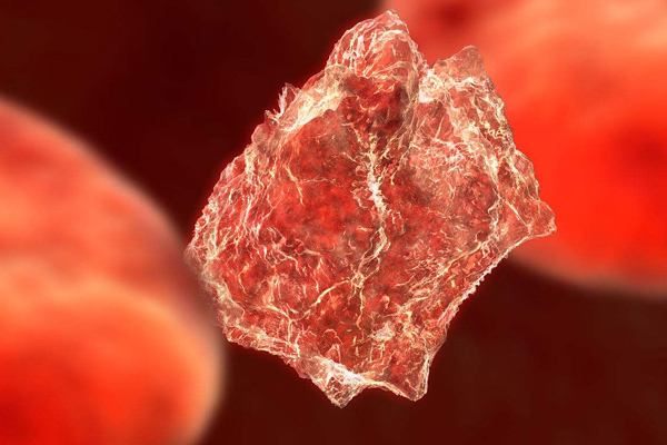 1497493507438004AgQ6.jpg 2.jpg