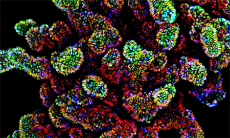 1498701757681067eEG5.jpg 4.jpg