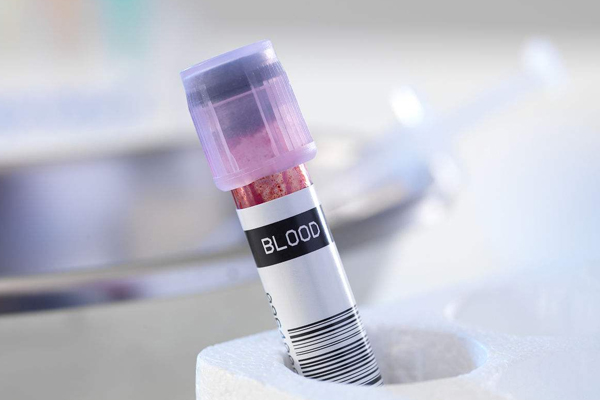 1498702112822521agHi.jpg 1.jpg