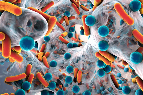 1498788614208267V3Dr.jpg 4.jpg