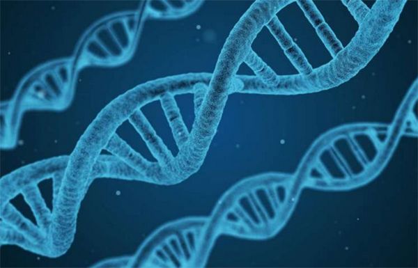 1499232953353652A10P.png 7.png