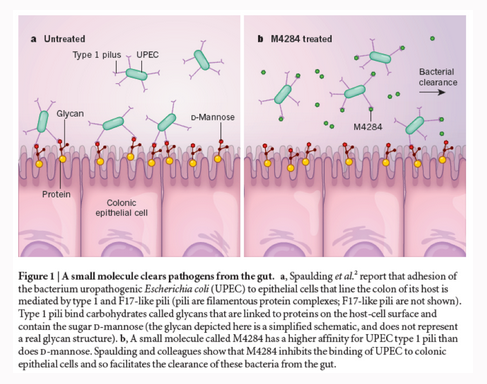 1499396650611298Meod.png 6.png