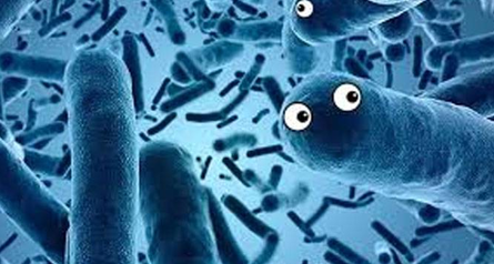 1499657117206793tZYU.png 3.png