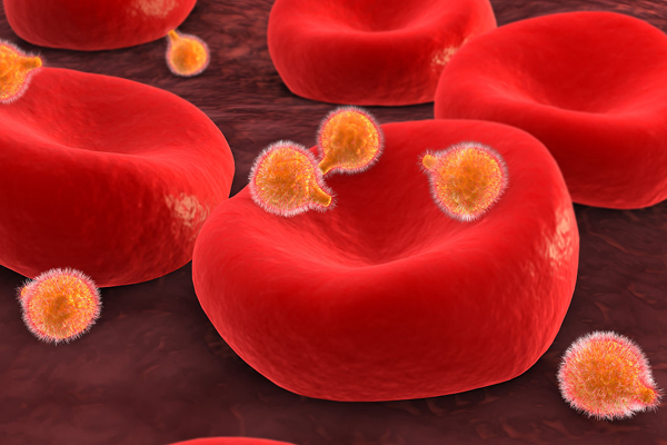 1499739267876860Otd5.png 1.png