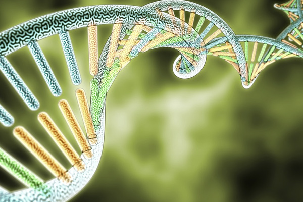 15005154097979771vkI.jpg 4.jpg