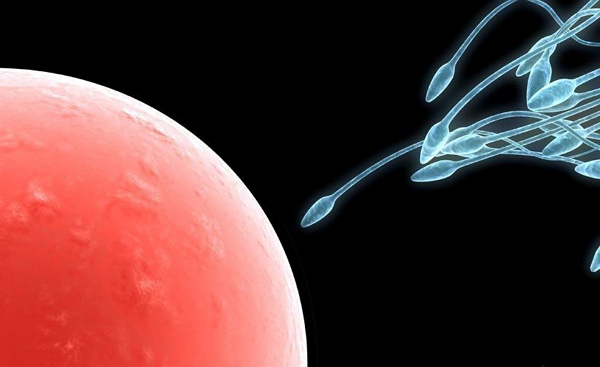 15009527397001660Z4x.jpg 1.jpg