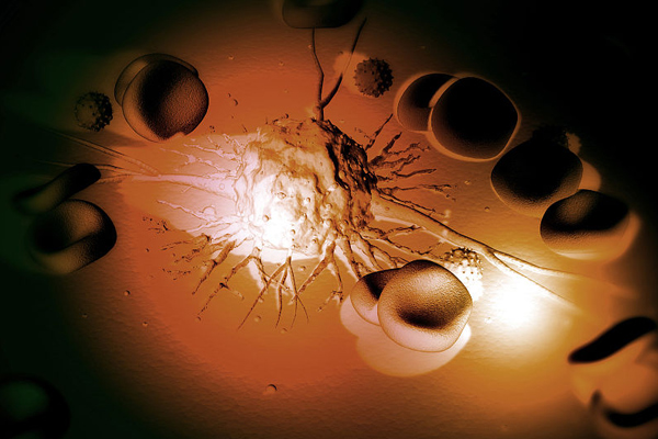 1501037997709834mGa8.jpg 3.jpg