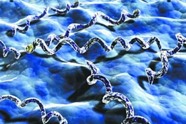 15015540346658965CLR.jpg 4.jpg