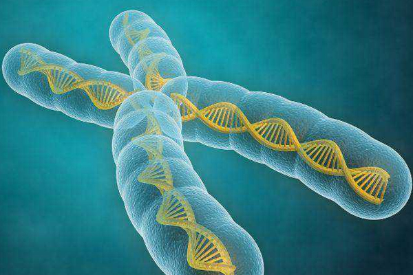 1501640726929584bfuv.jpg 3.jpg