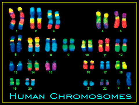 15017264826507323zPg.png 2.png