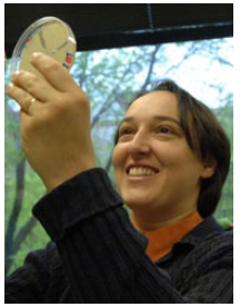 1501727128799896KQyP.png 3.png