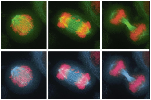 1501727153821895N4N1.png 4.png