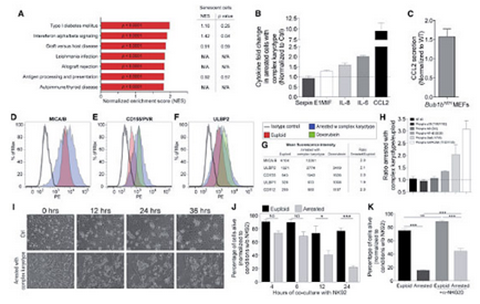 1501727171756424C3zU.png 5.png