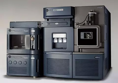 1504752109210539SGym.jpg 4.jpg