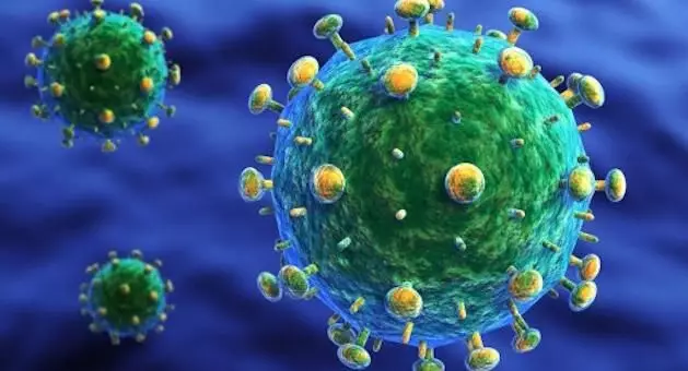 1506567740790416eT8J.png 2.png