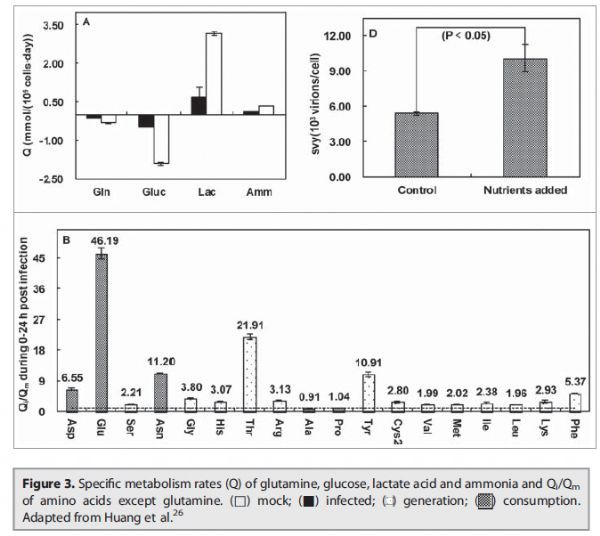 15089856382533866L11.png 3.png