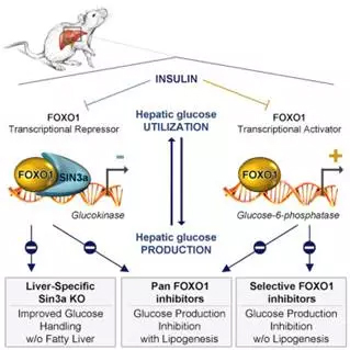 1509604884242771LYte.jpg 01.jpg