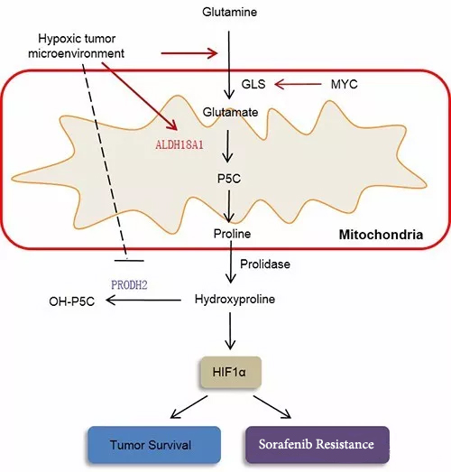 1509605037943034bK5T.jpg 02.jpg