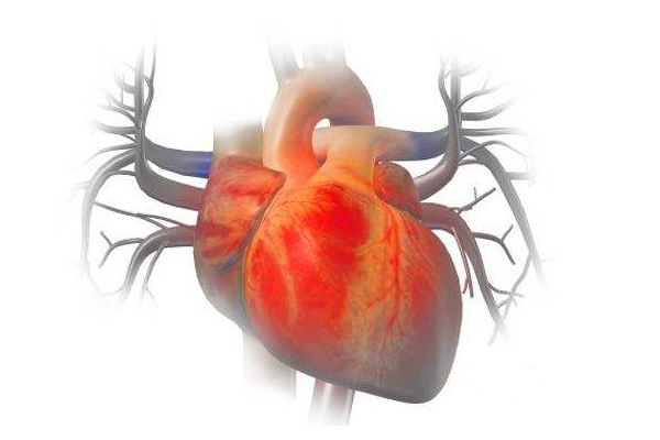 1510712930648891Av1D.jpg 5.jpg