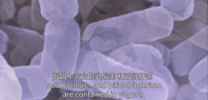 1511405085686939Tm82.jpg 4.jpg